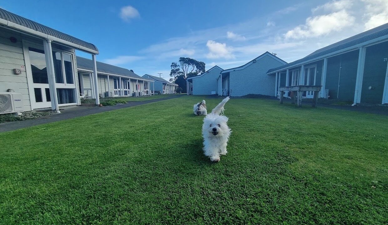 Photo of Outdoor in Hawera