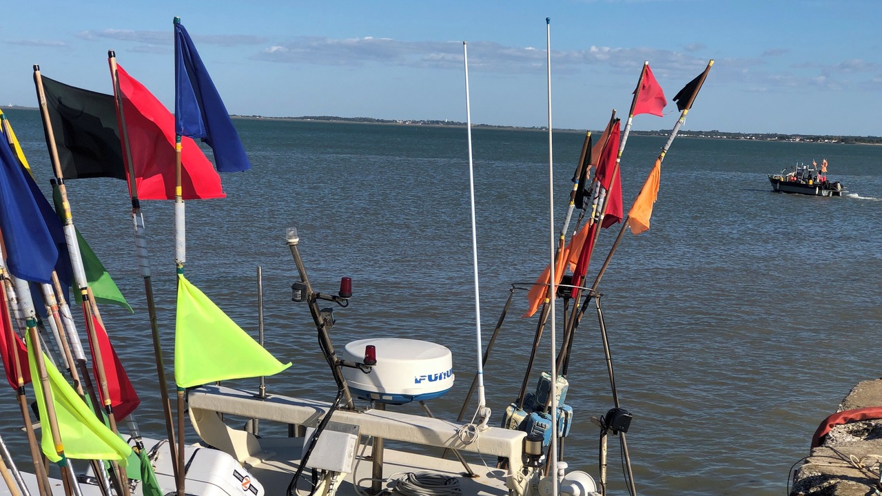 Photo of Others in Le Chateau-d'Oleron