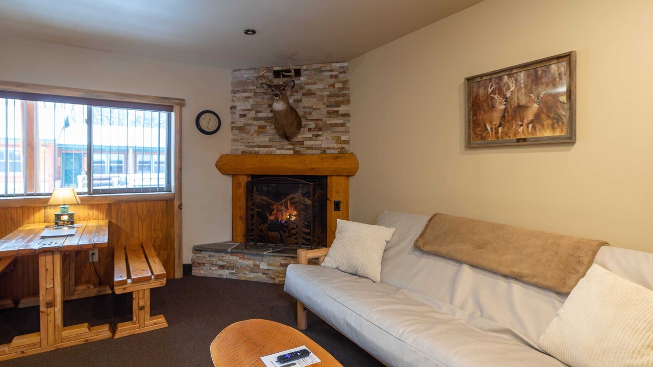 Photo of Livingroom in Indian River