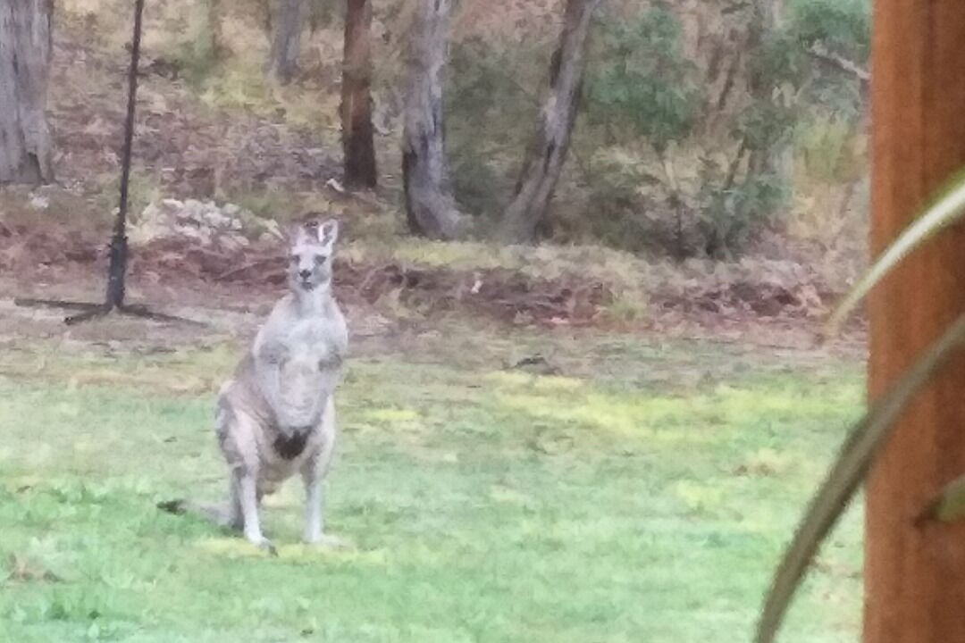 Photo of Others in Dales Creek