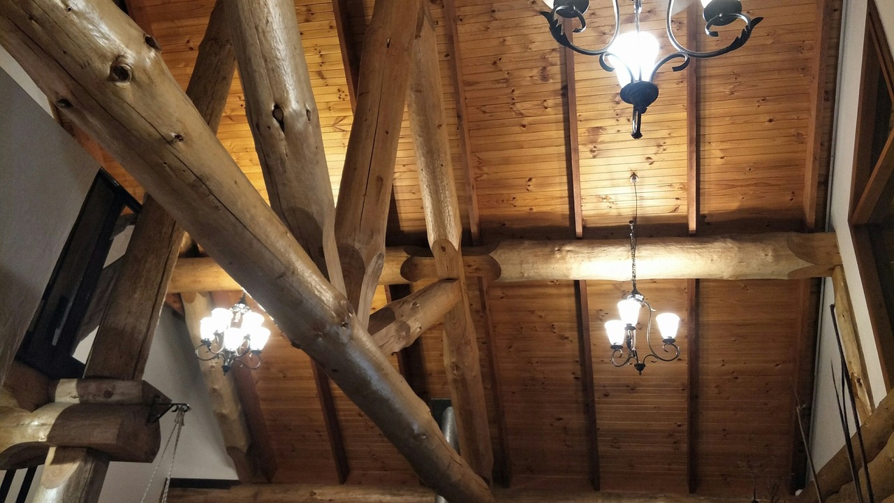 Photo of Others in Dales Creek