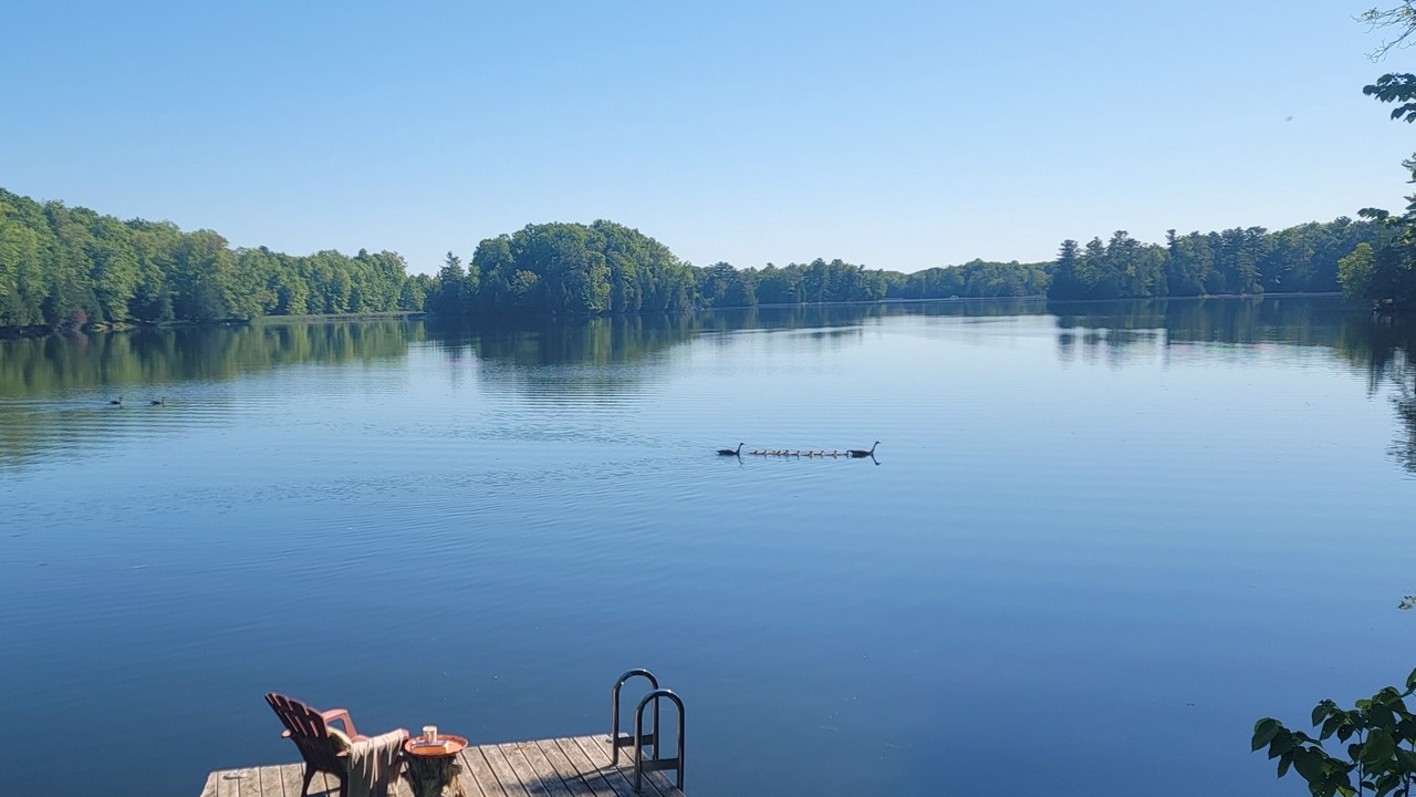 Photo of Others in Rideau Lakes