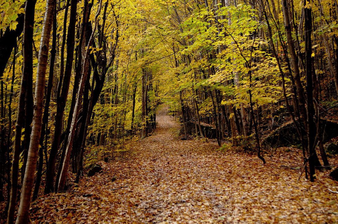 Photo of Outdoor in Wentworth