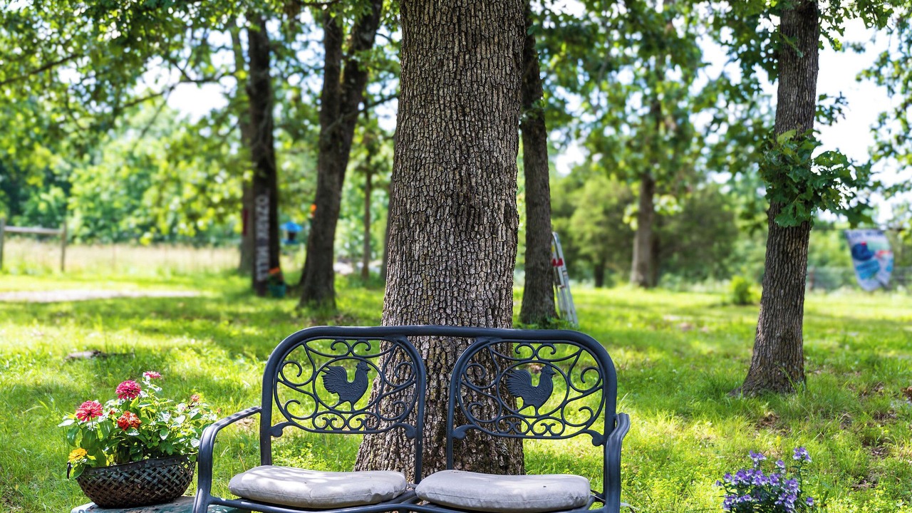 Photo of Outdoor in Huntsville