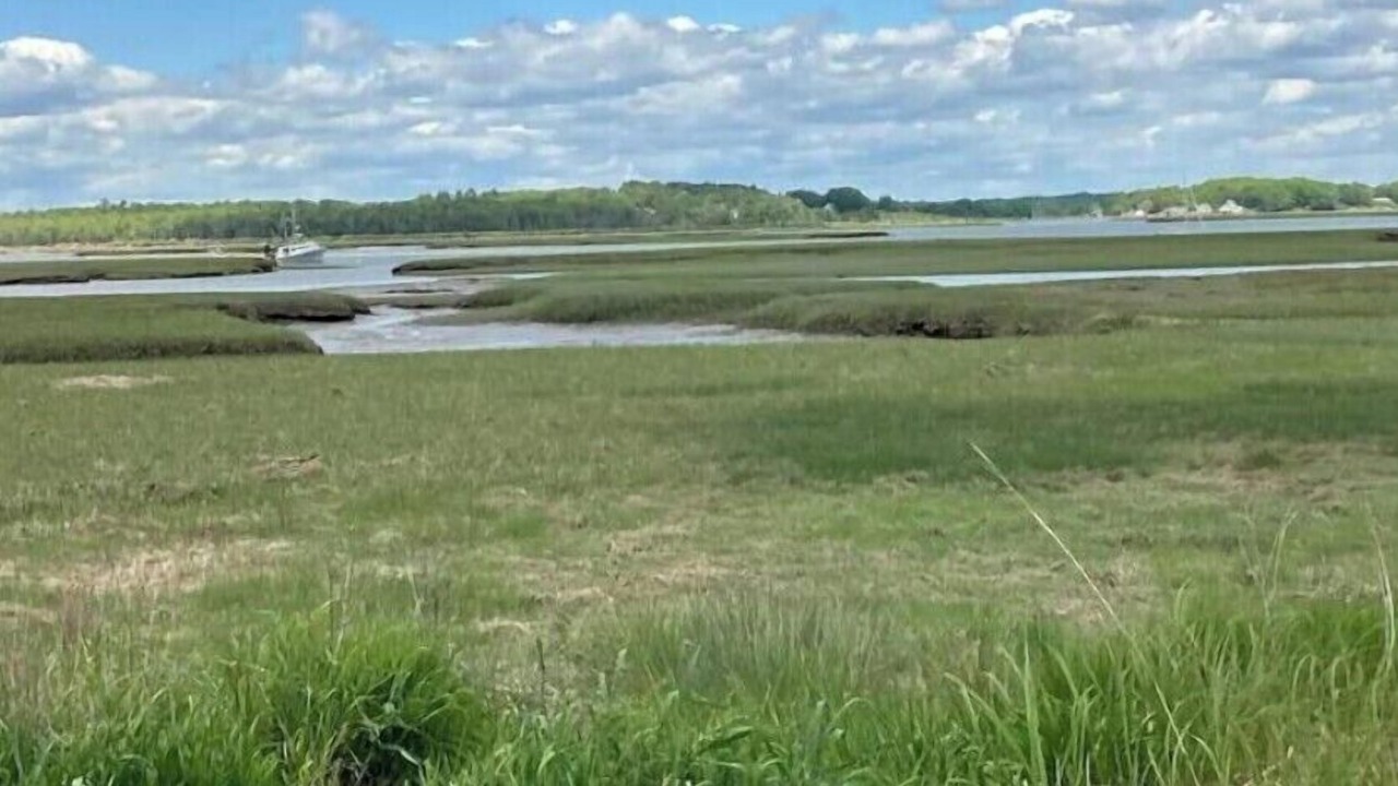 Photo of Others in Pine Point