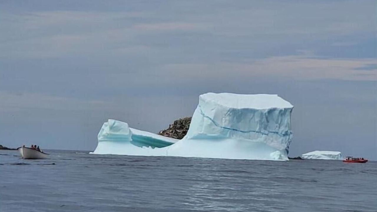 Photo of Others in Twillingate