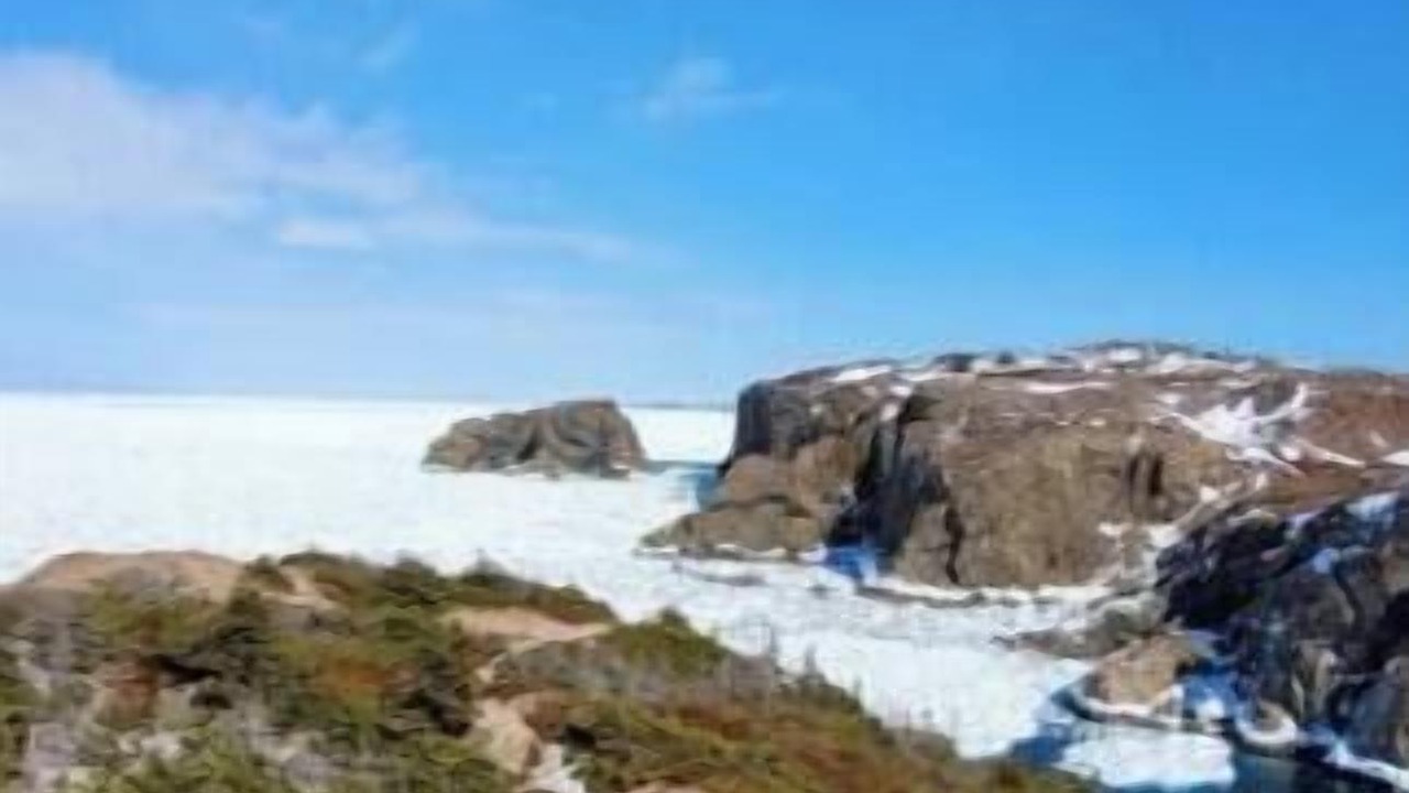 Photo of Others in Twillingate