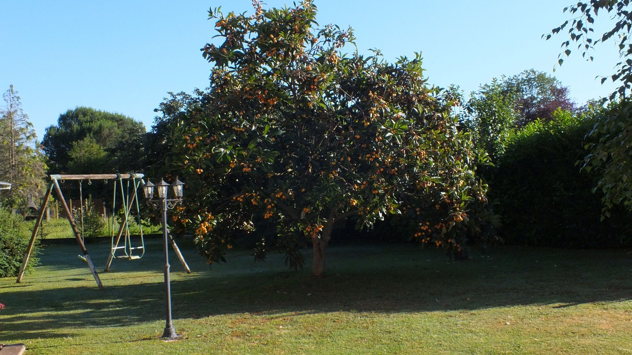 Photo of Outdoor in Saint-Martory
