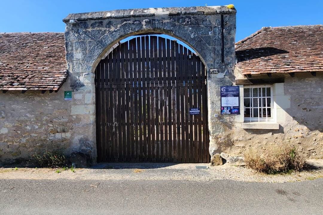 Photo of Others in Chinon