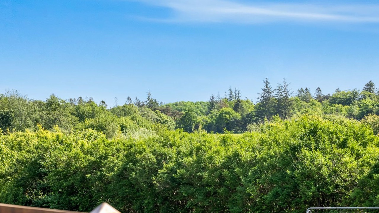 Photo of Others in Nordost