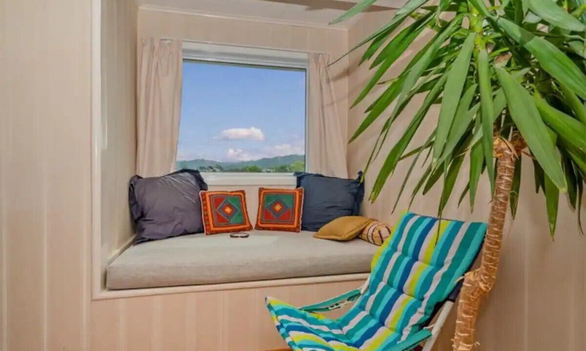 Photo of Others in Whitianga