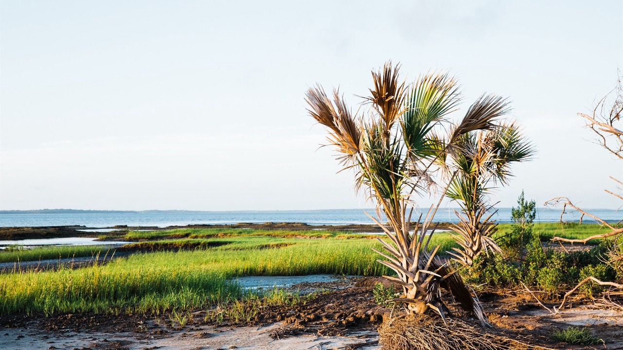 Photo of Others in Jekyll Island