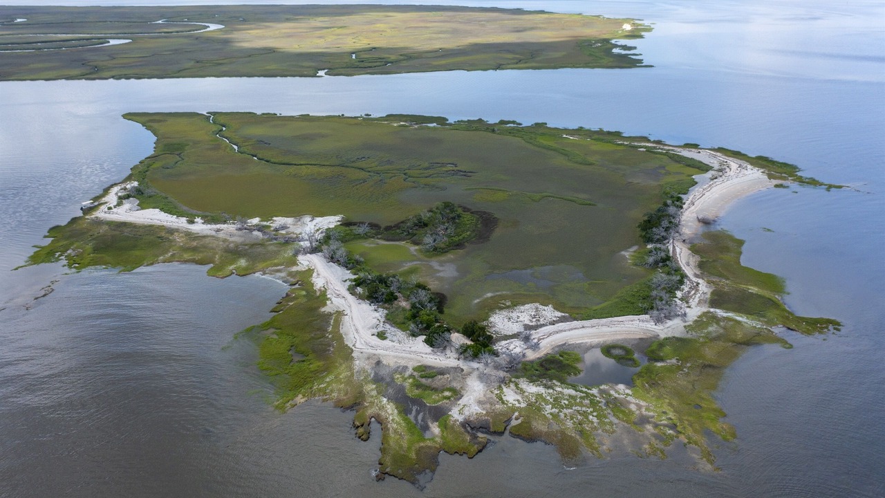 Photo of Others in Jekyll Island