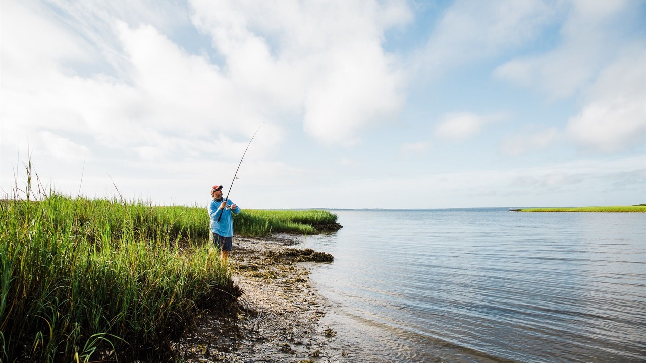 Photo of Others in Jekyll Island