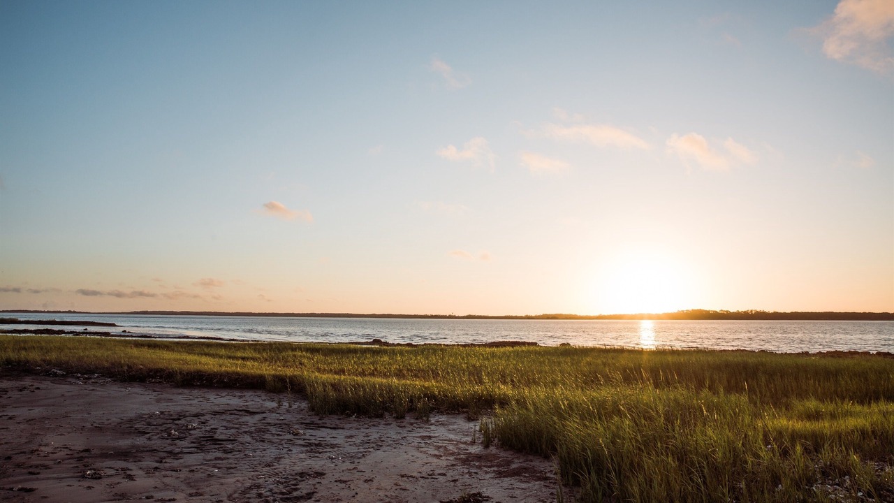 Photo of Others in Jekyll Island