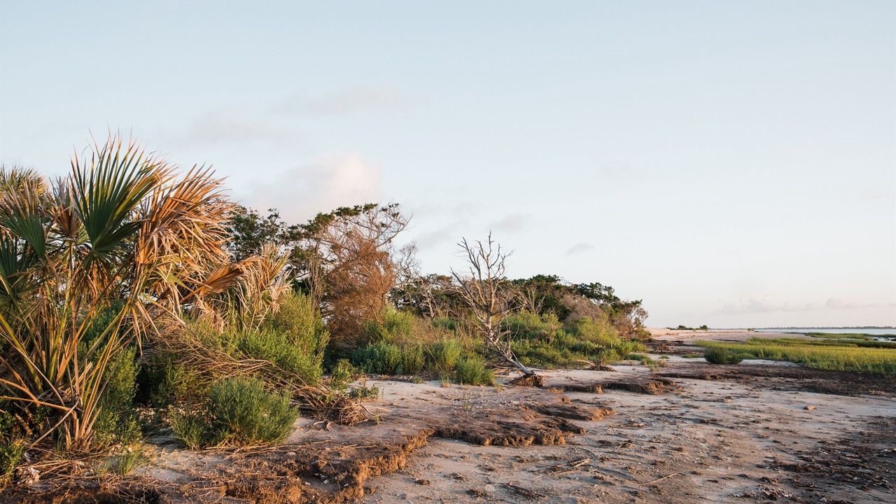 Photo of Others in Jekyll Island
