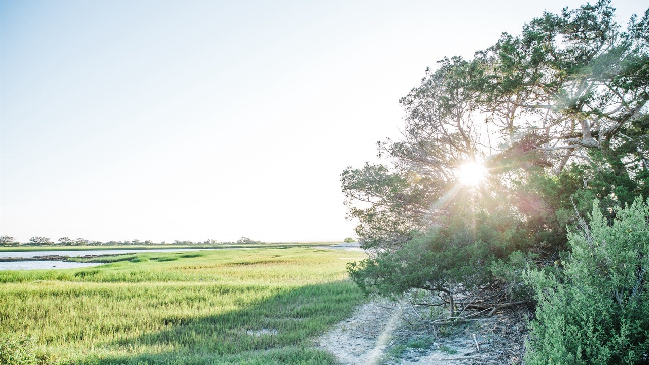 Photo of Outdoor in Jekyll Island