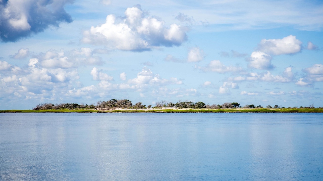 Photo of Others in Jekyll Island