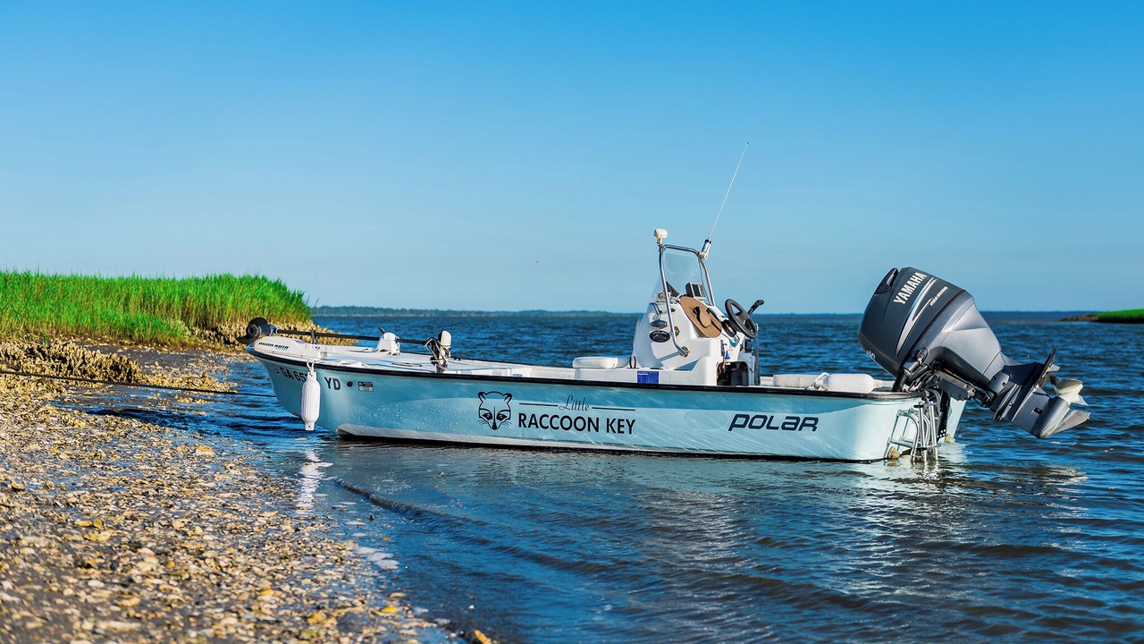 Photo of Others in Jekyll Island