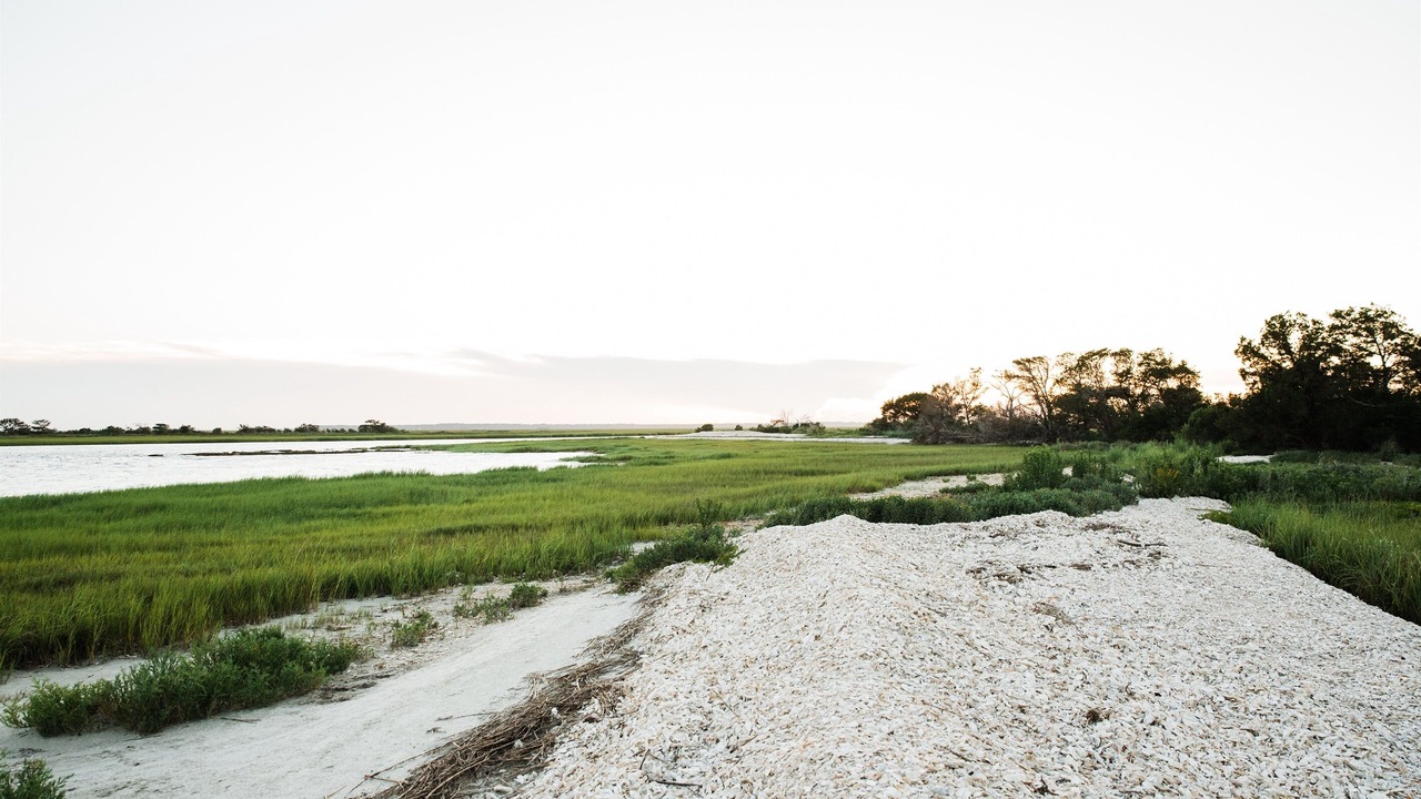 Photo of Outdoor in Jekyll Island