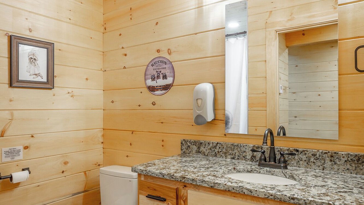 Photo of Bathroom in Lookout Valley Neighborhood Association