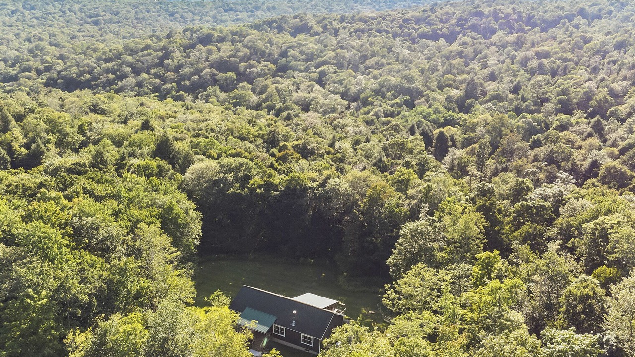 Photo of Outdoor in Livingston Manor