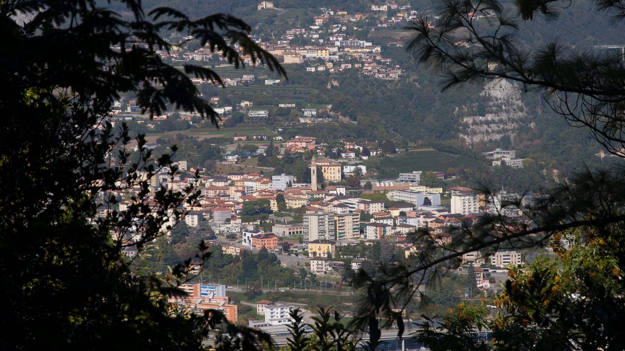 Photo of Others in Pedrinate