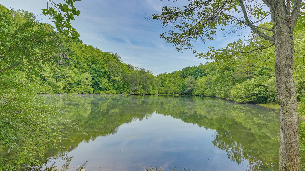 Photo of Outdoor in Smith River