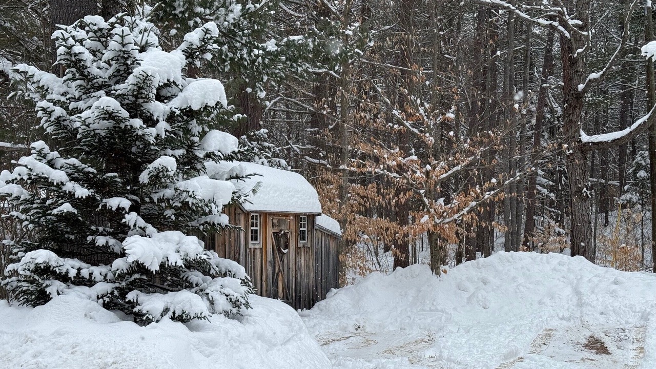 Photo of Outdoor in Silver Lake