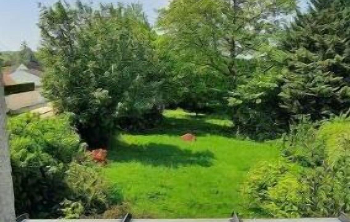 Photo of Outdoor in Morainvilliers