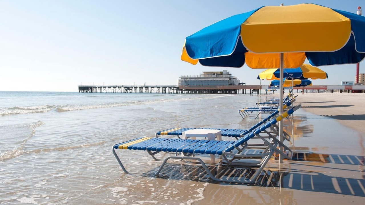 Photo of Others in Kingston