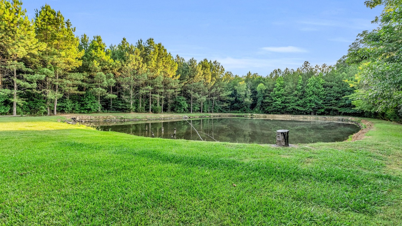 Photo of Outdoor in Starkville