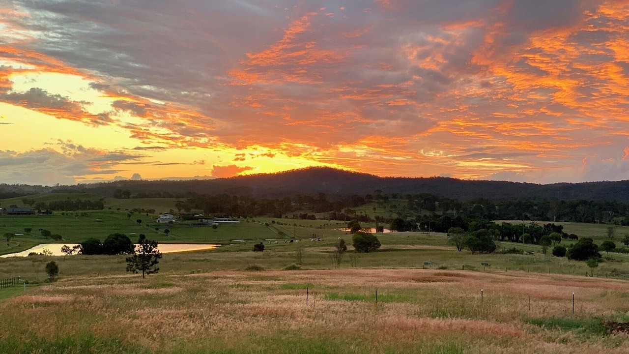 Photo of Others in Boyland