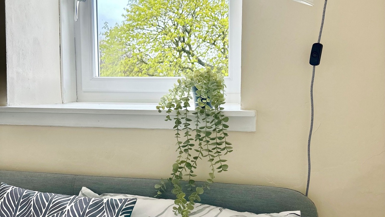 Photo of Bedroom in Dumbarton