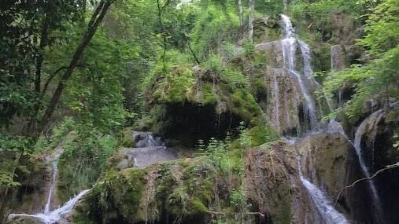 Photo of Others in Villeneuve-d'Olmes