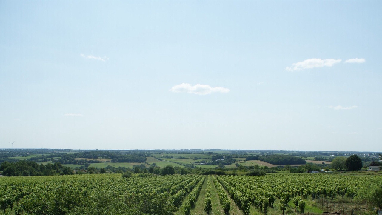 Photo of Outdoor in Beaulieu-sur-Layon
