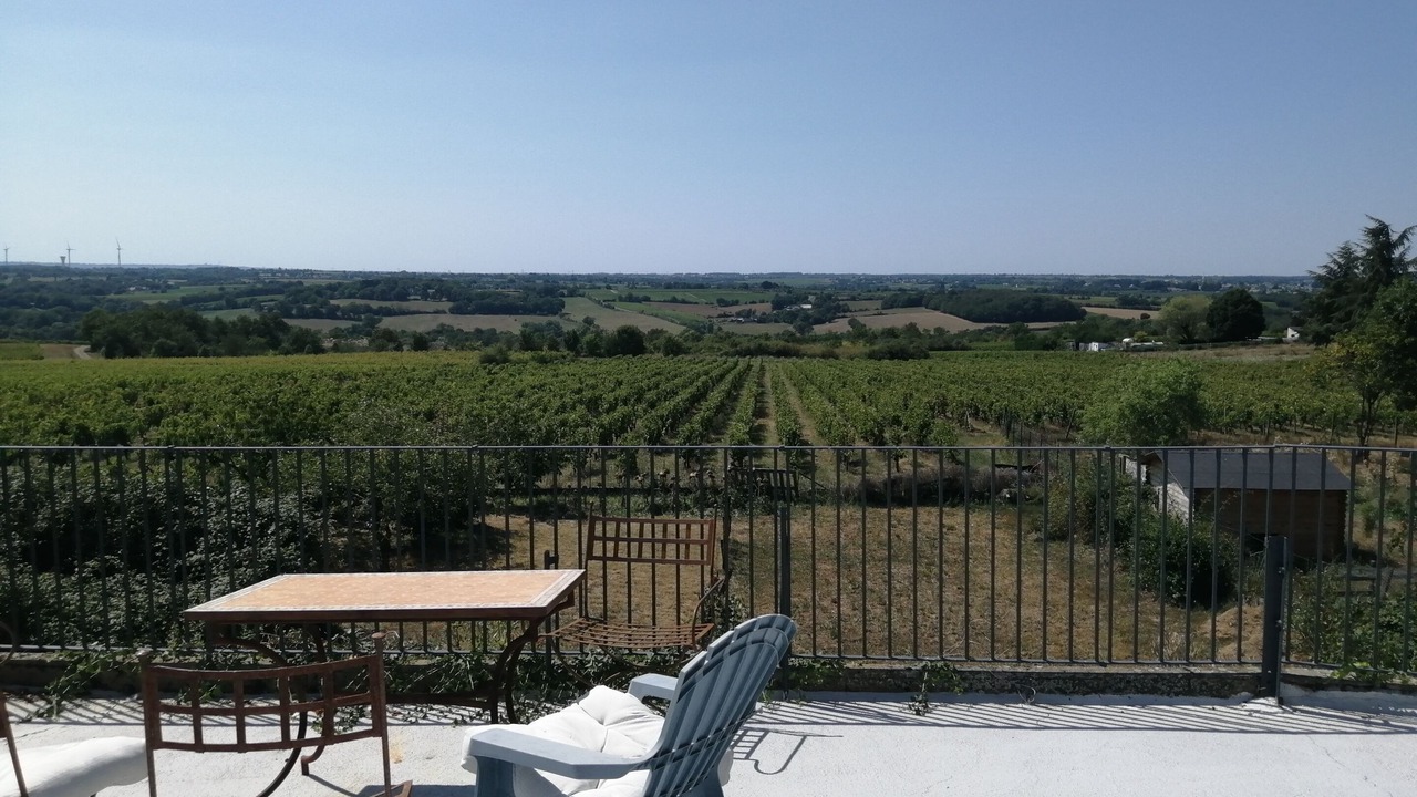 Photo of Outdoor in Beaulieu-sur-Layon