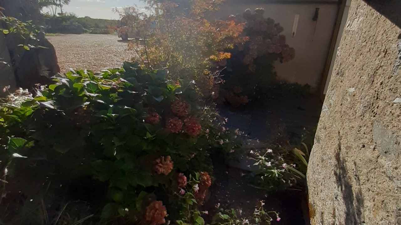 Photo of Outdoor in Beaulieu-sur-Layon