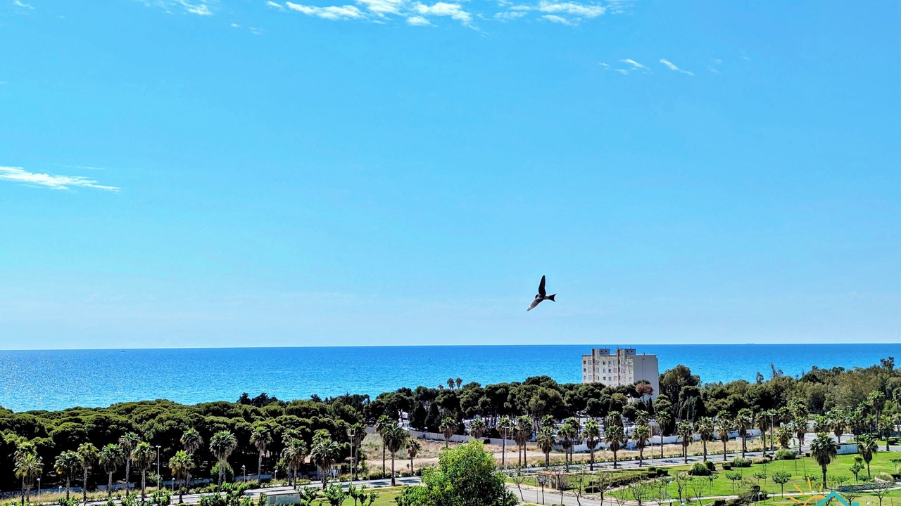 Photo of Others in Marina d'Or