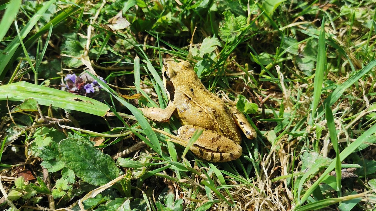 Photo of Outdoor in Hamars