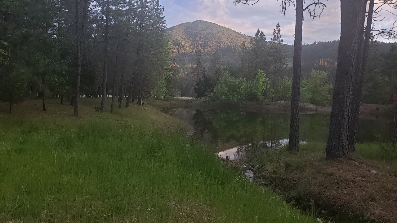 Photo of Outdoor in Wolf Creek