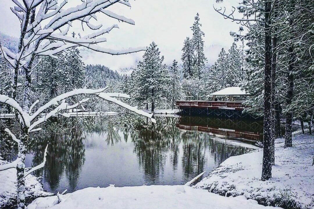 Photo of Outdoor in Wolf Creek