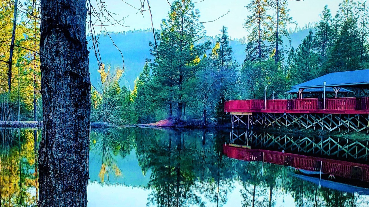 Photo of Outdoor in Wolf Creek