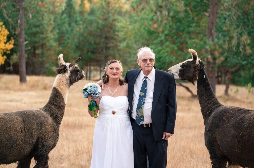 Photo of Outdoor in Wolf Creek