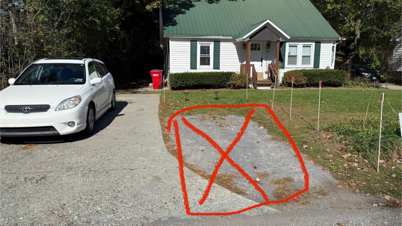 Photo of Others in South Burlington