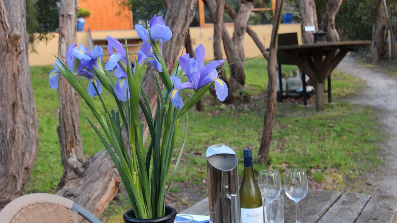 Photo of Outdoor in Fairhaven