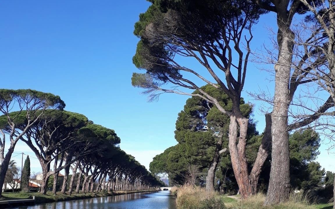 Photo of Outdoor in Salleles-d'Aude