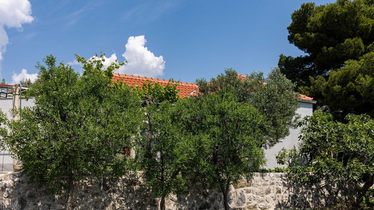 Photo of Outdoor in Buici