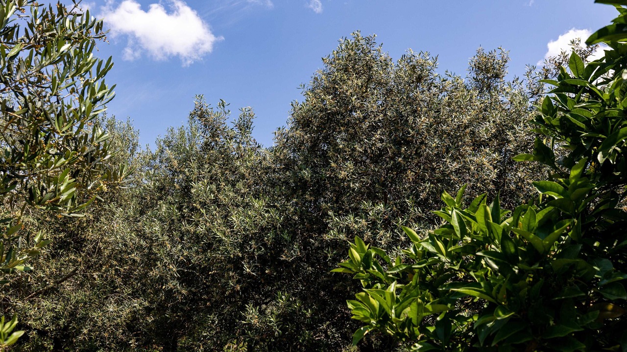 Photo of Outdoor in Buici