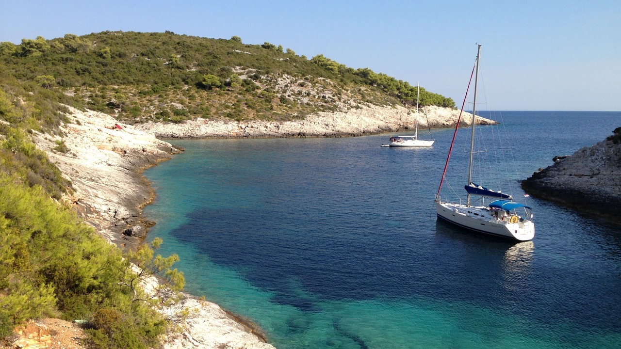 Photo of Others in Cove Rogacic